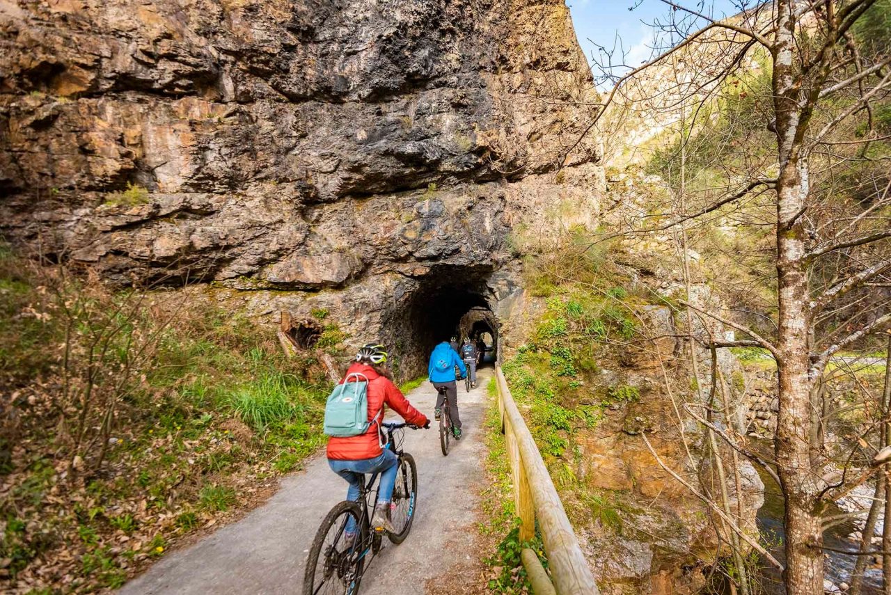 Ruta Senda Del Oso Asturias Actualizado Octubre