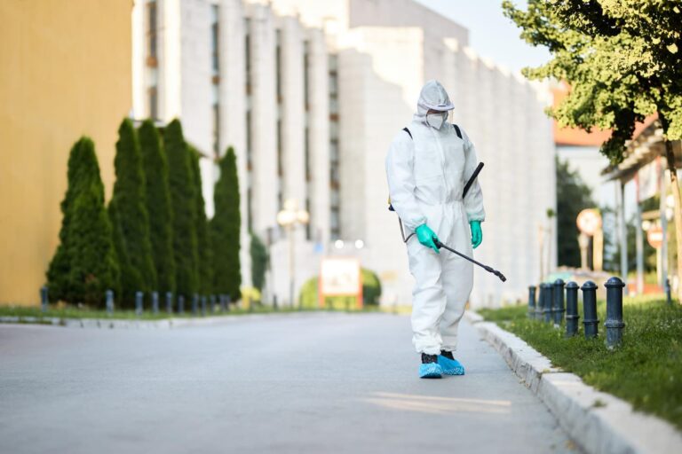 La importancia estratégica del control de plagas en entornos urbanos y rurales en España
